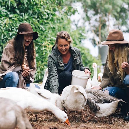 Burnside Organic Farm Villa Margaret River Dış mekan fotoğraf