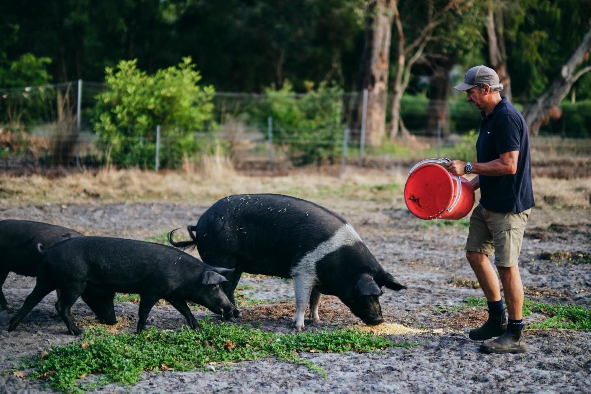 Burnside Organic Farm Villa Margaret River Dış mekan fotoğraf