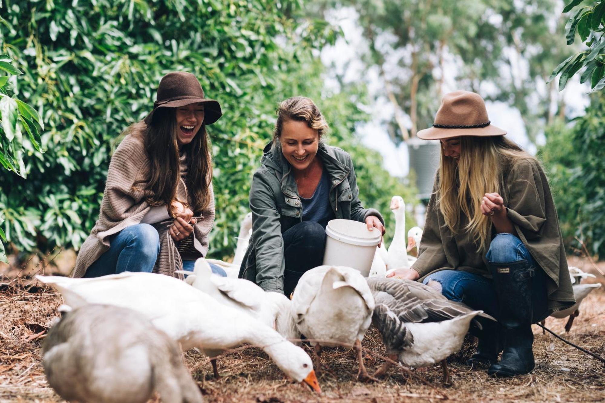 Burnside Organic Farm Villa Margaret River Dış mekan fotoğraf