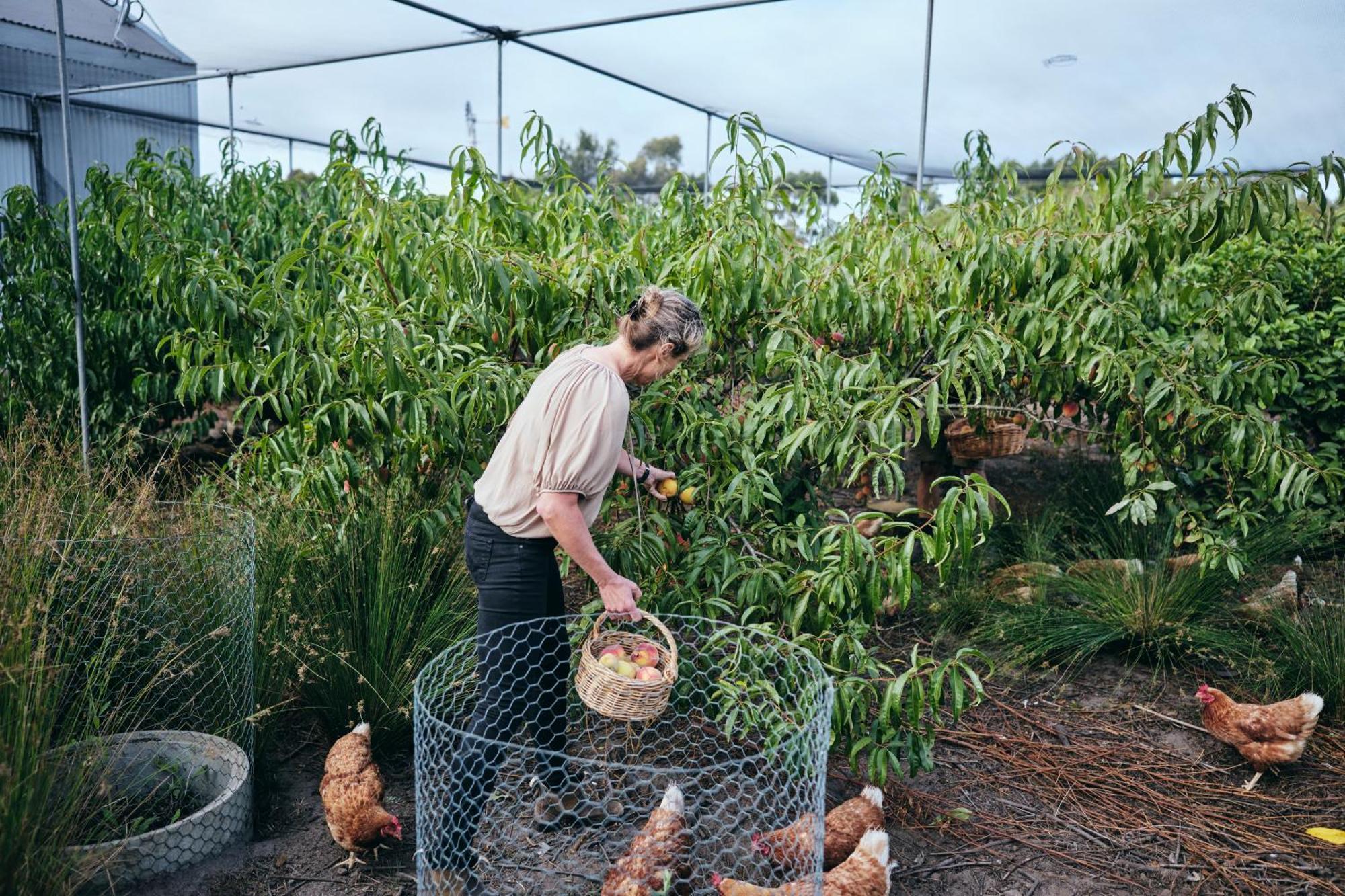 Burnside Organic Farm Villa Margaret River Dış mekan fotoğraf