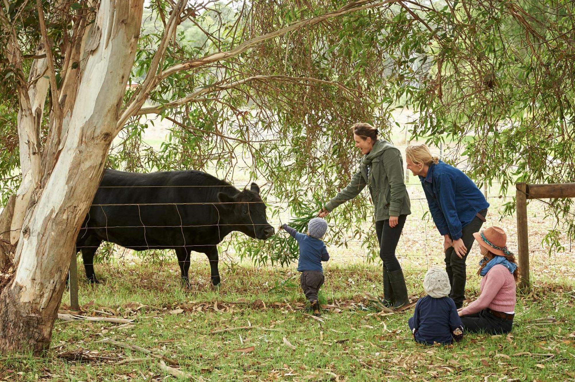 Burnside Organic Farm Villa Margaret River Dış mekan fotoğraf