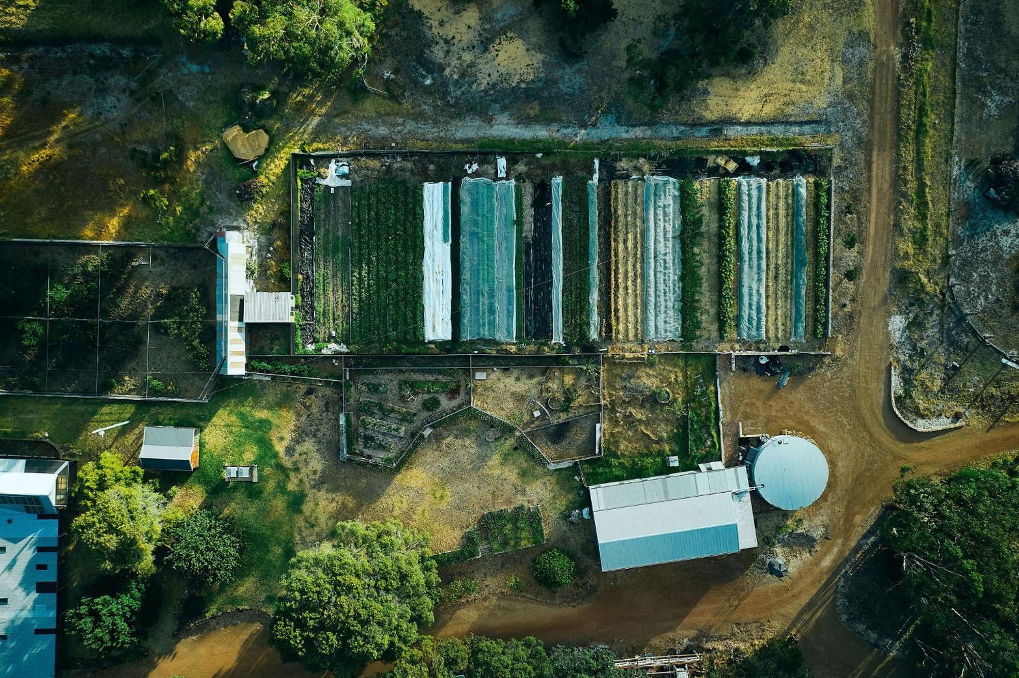 Burnside Organic Farm Villa Margaret River Dış mekan fotoğraf