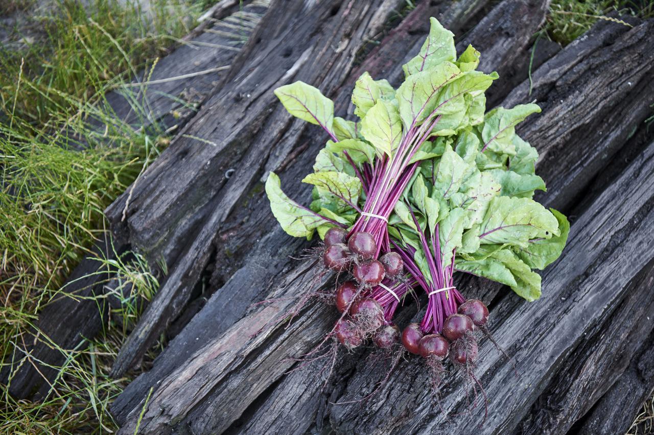 Burnside Organic Farm Villa Margaret River Dış mekan fotoğraf